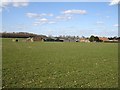 Parsonage Farm, Stockbury