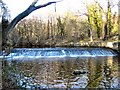 River Don Weir