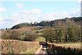 Wiveliscombe Without: bridleway at Oakhampton Farm