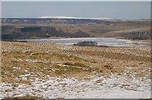 SD8966 : A Frozen Malham Tarn by Roger Campbell
