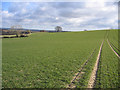 View east from above Compton Durville, Somerset