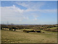 Farmland Ninfield East Sussex