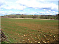 View down the Parrett valley, Merriott, Somerset