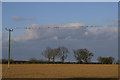 Field north of Landwick Farm