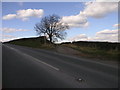 Bridleway to Nether Handley