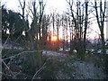 Dawn through the trees, Fulneck, Pudsey