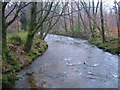 River Yealm from Popple