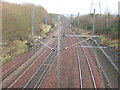 Railway Near Newton