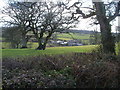 Coombe Farm, near Woodmanton