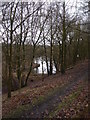 Small reservoir at Whittle le Woods