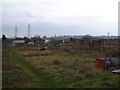 Oakhunger Lane Allotments, Hook Street