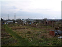 ST6799 : Oakhunger Lane Allotments, Hook Street by David Exworth