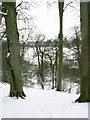 River Severn from Spring Coppice