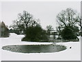 Pond at Rossall Farm