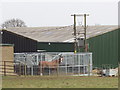 Horse exercise machine at Crossoaks Farm riding stables