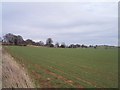 Fields of Upper Holcombe Farm