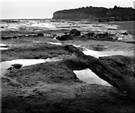 TQ8913 : Winchelsea Beach, low tide. A sunken forest of petrified wood. by Simon Hookey
