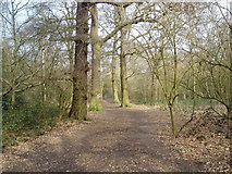 TQ4468 : Petts Wood, Kent by Dr Neil Clifton