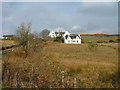 Two White Houses