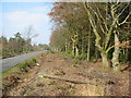 Ringwood to Alderholt Road Hampshire