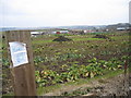 Allotments Rushton Road Rothwell