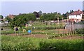 Allotments at the end of Foxwell Street Worcester