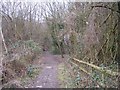 Footpath up Robins Wood Hill