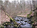 Earnock Burn