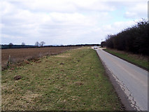 SE9402 : Approaching the B1398 Junction by David Wright
