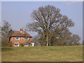 Cottage on Brockishill Road, New Forest