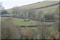 Duloe: hedging near Trelawne Mill Farm