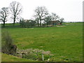 Farm building near Montford Grange