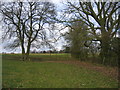 Footpath from Cladswell