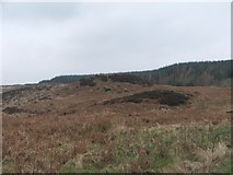 NR6615 : Chambered Cairn at Lochorodale. by Steve Partridge