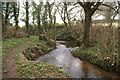 Stream Near Coley