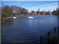 Lower Lake, Albert Park, Middlesbrough