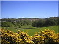 Looking towards Peterculter