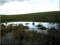 NS7872 : Pond Near Palacerigg Country Park by Iain Thompson