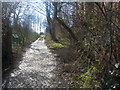 Railway Fields Local Nature Reserve