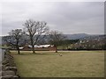 Line of trees off Bolton Road, Silsden