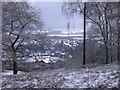 Overton, Frodsham, from Beacon Hill.