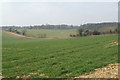 SU3626 : Farmland west of Eldon Road by Pierre Terre