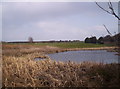 A Small Pond and 13th Green