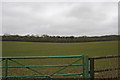 View across farmland towards woodland