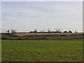 View towards Burton Hill Farm