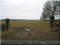 Gateway near Appletree Farm