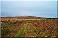 View from Rushlade Common - Dartmoor