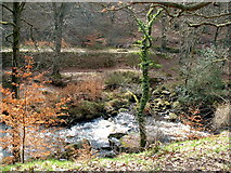 SD9829 : Hebden Water and Millpond, Hardcastle Crags by Nigel Homer