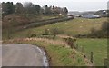 Kirkton and Kirkton Cottages