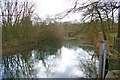 River Eye, Melton Mowbray